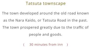 Tatsuta townscape