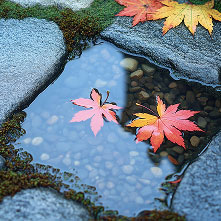 法隆寺イメージ